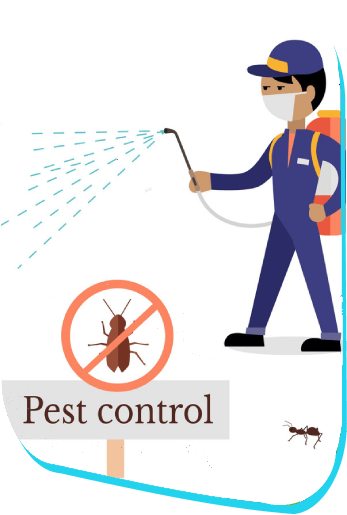 pest contol services